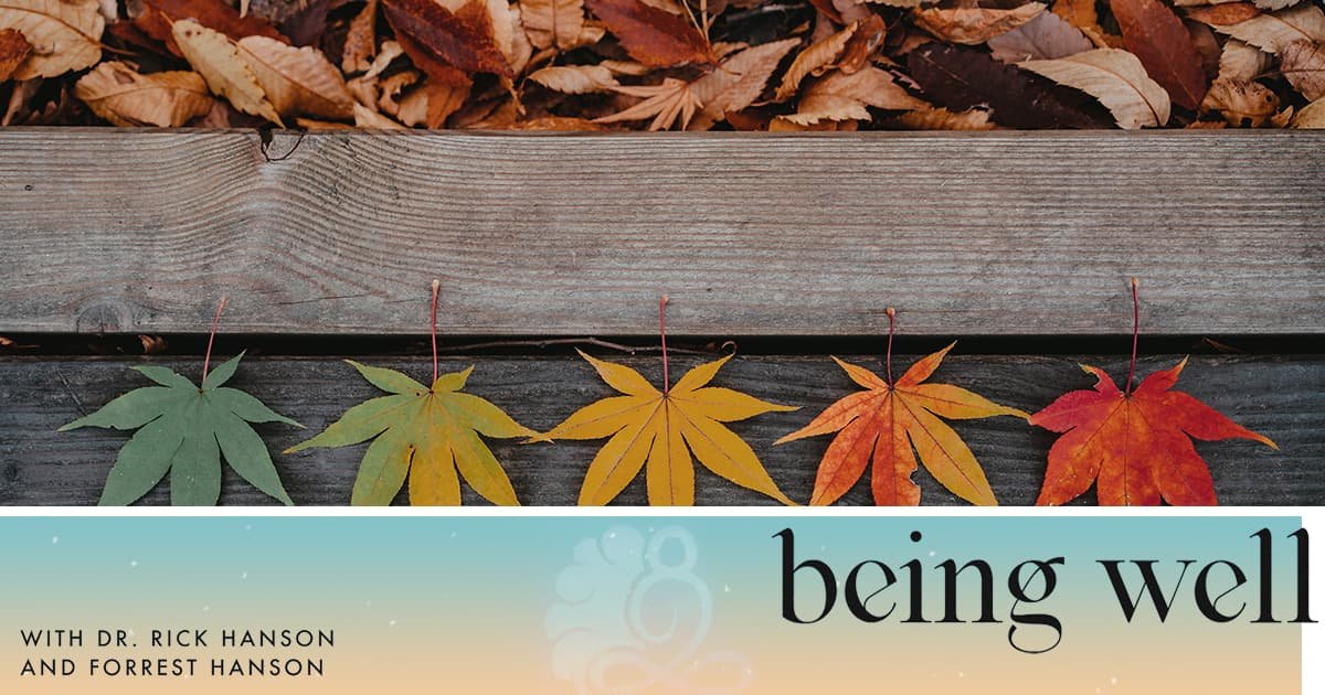 Meditation + Talk: How Mindful Awareness of Emotional Pleasure and Pain Can Break the Chain of Suffering